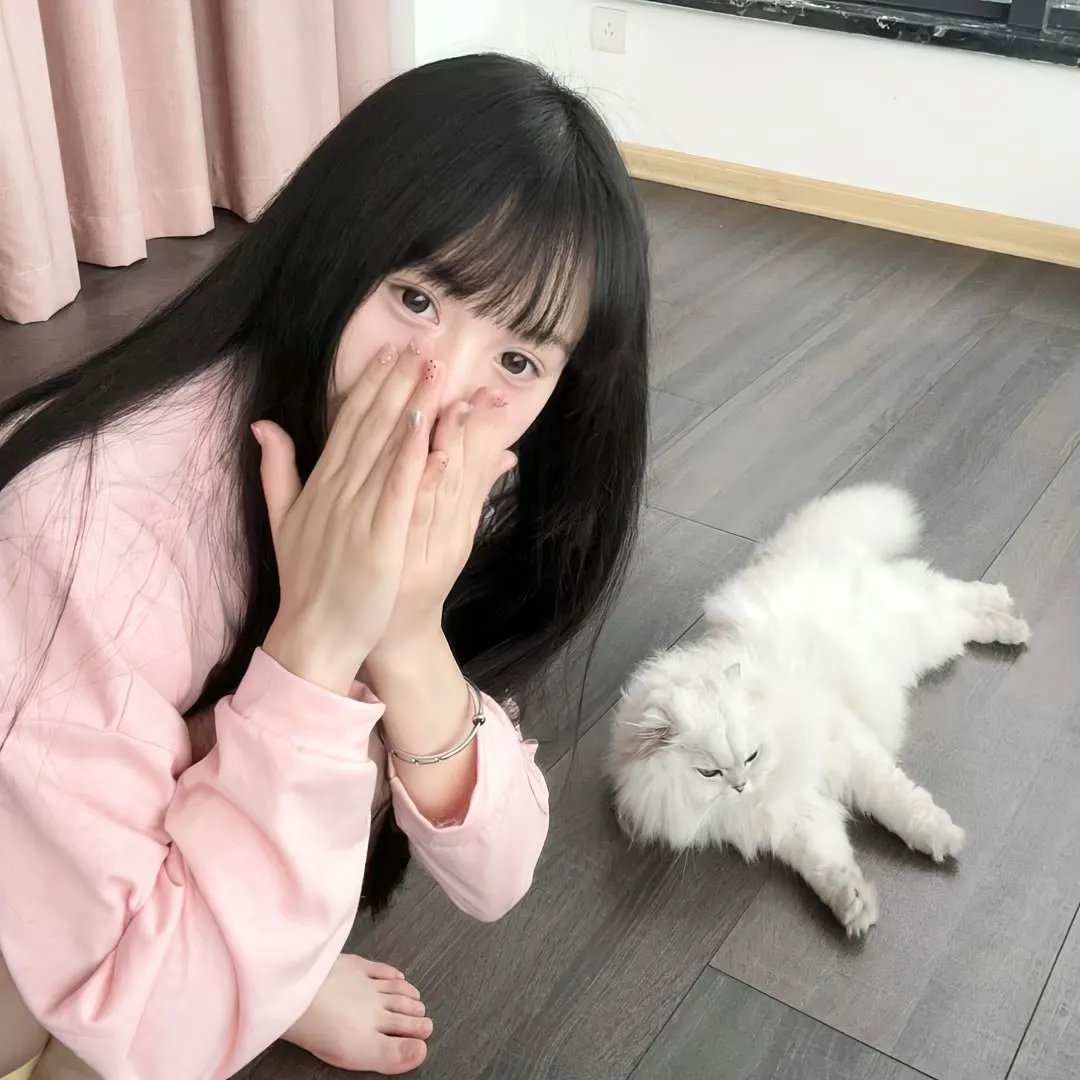 狄小肆之幽冥飞狼